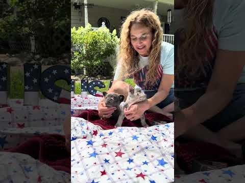 Video 1