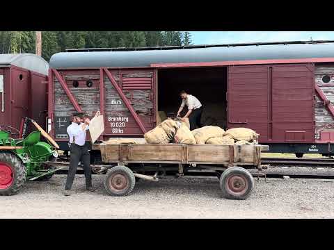 3 Seenbahn - Bahnhofsbetrieb wie in den 1950er Jahren 2025 - Beladung Güterwagen I