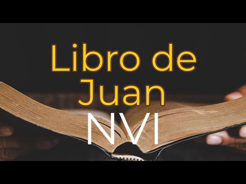 El Evangelio Según Juan - Nueva  Versión Internacional - Audio Completo