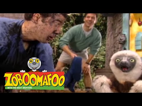 Zoboomafoo 222 - Armour (Full Episode)