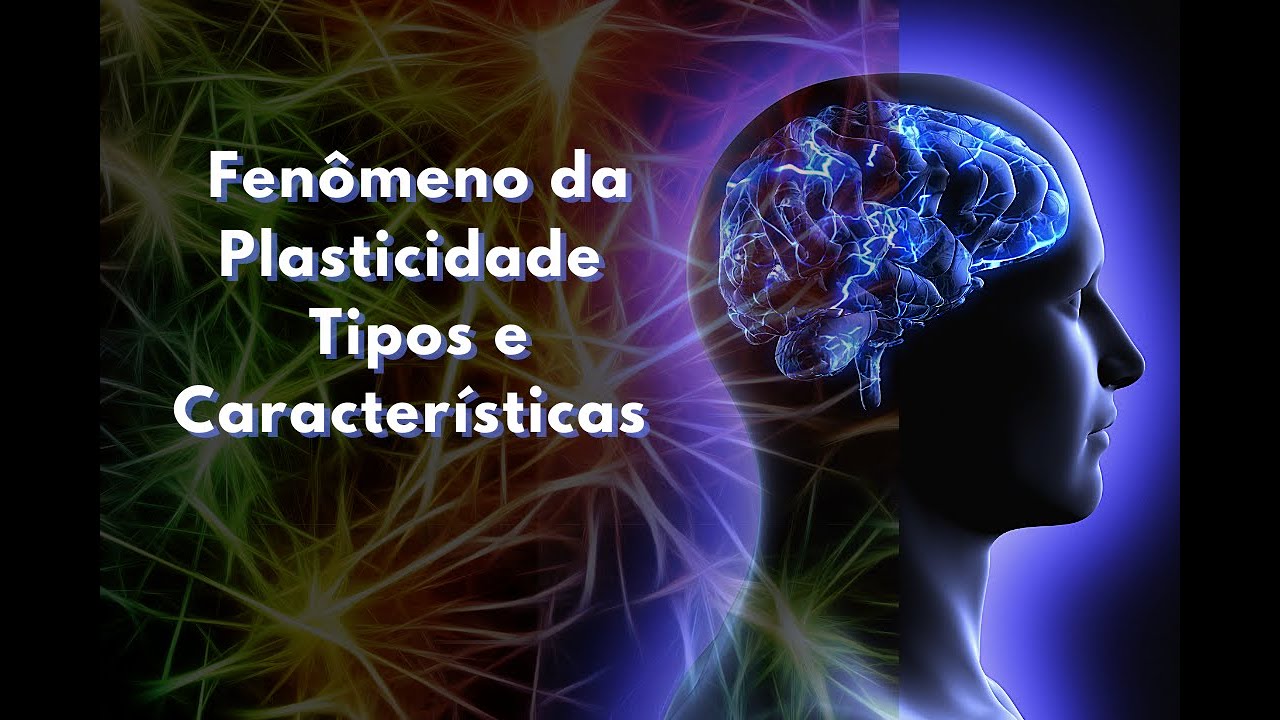 Fenômeno da Plasticidade, Tipos e Características