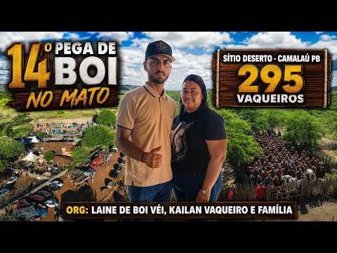 14° PEGA DE BOI NO MATO NO SÍTIO DESERTO CAMALAÚ PB ORG: KAILAN E LAINE DE BOI VEI 