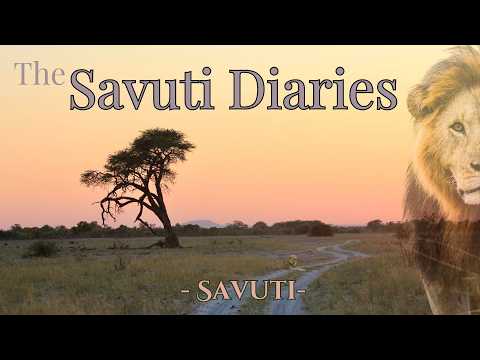 Exploring Savuti Botswana,