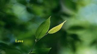 Randy Goodrum - Love [w/ lyrics]