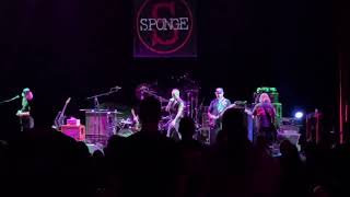 Treat Me Wrong by Sponge @ The Parker on 10/9/25 in Ft. Lauderdale, FL