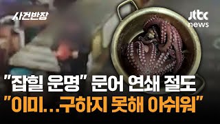 잡힐 운명 문어 연쇄 절도 이미…구하지 못해 아쉬워 / JTBC 사건반장