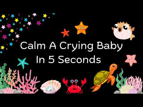 Make a Baby STOP CRYING | Ocean Wonders | Baby Sensory Video | Videos To CALM Baby #baby