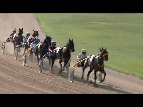 2019.05.18. 08. futam - ERLIANE HENDIKEP