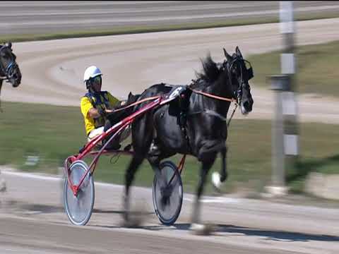 Trotto 23/09/2018 - 2ª corsa