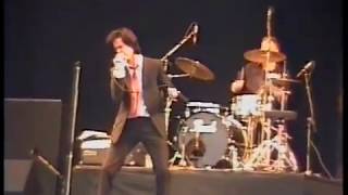 Nick Cave &amp; The Bad Seeds - Reading Fest. 1990 - August 24, 1990
