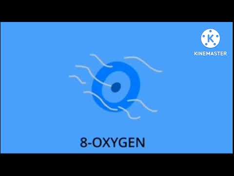 TVOkids Science Periodic Table Band 2