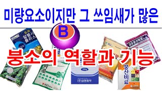 붕소비료의 역할과 기능. 미량요소이지만 그 쓰임새가 많고 모자라면 엄청난 피해를 주는 붕소 그 역할과 기능 …