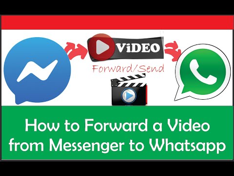 WhatsApp を最大限に活用する: これがメッセンジャーを完璧に設定する方法です