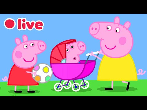 🔴 Peppa Pig IN DIRETTA! 🐷 Episodi Completi ✨ Cartoni per Bambini | Peppa Pig Italiano