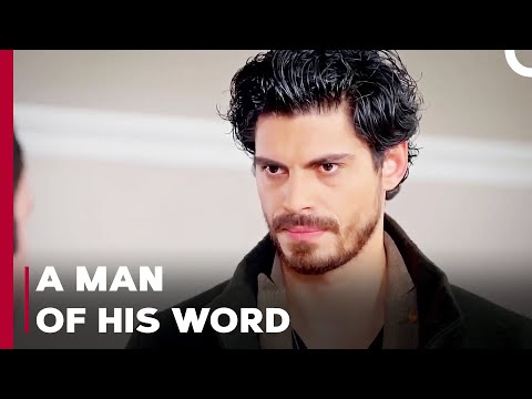 Mirza's Show of Persuasion - Can't Stop Loving You