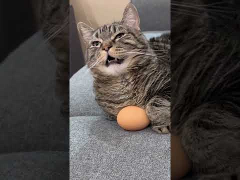 Now will I ever get it back? #penny