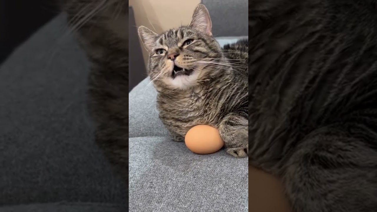 Now will I ever get it back? #penny