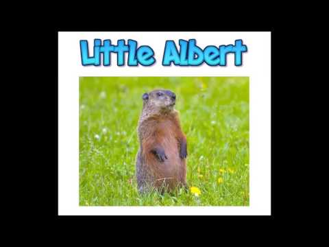 Little Albert - Unfinished Answers