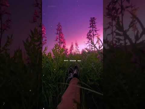 Teri jhuki Nazar 👀 teri har ada💕 | Lyrics edit| Aesthetic edit| love status aesthetic | trending |