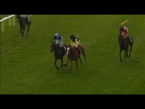 Hamburger Stutenmeile - Gruppe 3  2017