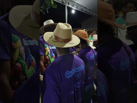 Folia de reis monte alegre de goias 2025