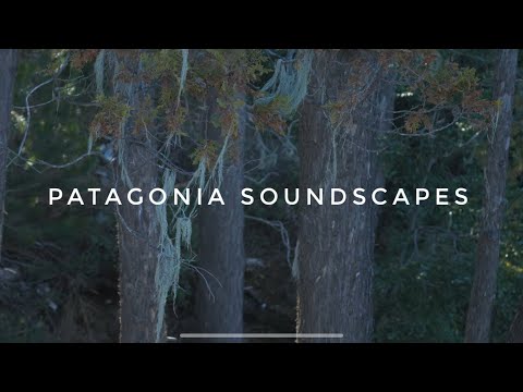 Paisajes Sonoros - Patagonia Argentina (Patagonia Soundscapes)