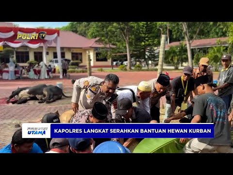 KAPOLRES LANGKAT SERAHKAN 12 EKOR SAPI DAN 5 EKOR KAMBING HEWAN KURBAN