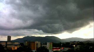 Muero conjunto primavera