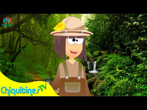 Vengan a Ver Mi Selva con Canciones Infantiles y Animaciones – ChiquitinesTV