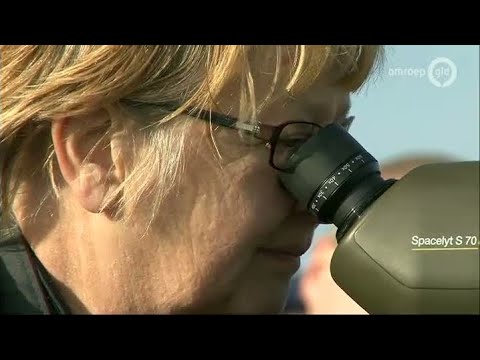 GLD Nieuws 19 januari 2014