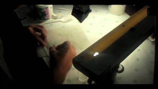 6   Processing guppies