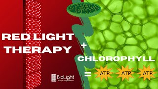 Chlorophyll &amp; Red Light Therapy (or sunlight) for Producing Energy (ATP)