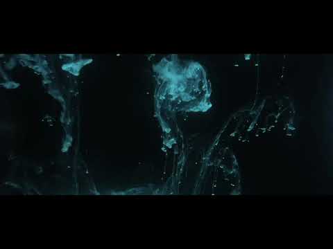 💀 🎶  Van Der Wiese ~ Leaving Earth [VideoClip]  🎶 💀