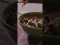Ep 8 Madhavan Tries Parotta Nalli Curry Vikram Vedha