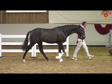 Montgomery von Morricone-Foundation-Don Cardinale