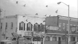 This Day Forward - Seven