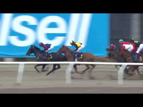 2019.08.04 Hurricanelöpning (SWE) - Red Cactus