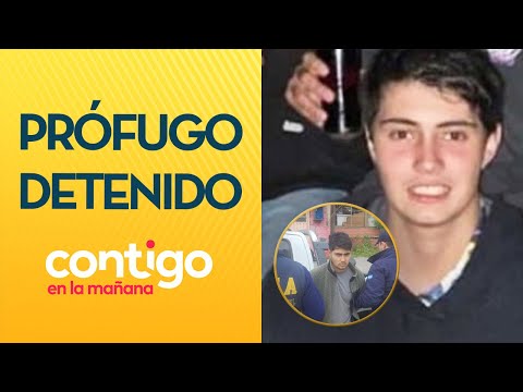 CONDENADO A 7 AÑOS: Agustín O'Ryan detenido en Argentina tras meses prófugo - Contigo en la Mañana
