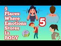 How are EMOTIONS stored in BODY/ Anger anxiety fear stress stored in body