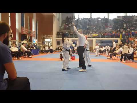 European King of Taekwondo 2019