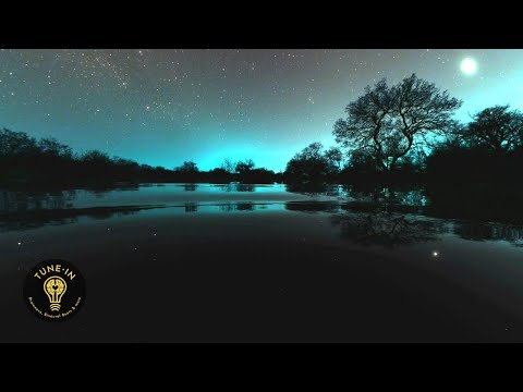 HANGOVER CURE | Healing for Hangover With Binaural Beats | Rife Frequency Treatment