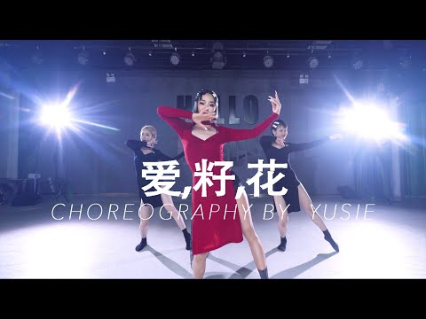 爱籽花 / YUSIE Choreo - HELLO DANCE