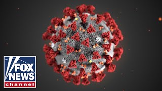 New COVID-19 strain in the UK sparks concern