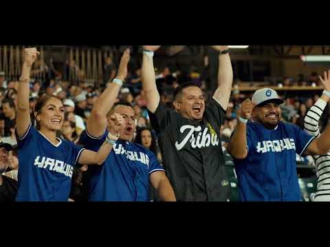 We are in the 2025-2026 Playoffs