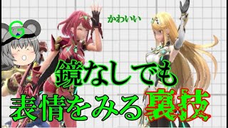 ホムラとヒカリの表情を正面で見ることができる裏技【スマブラSP】