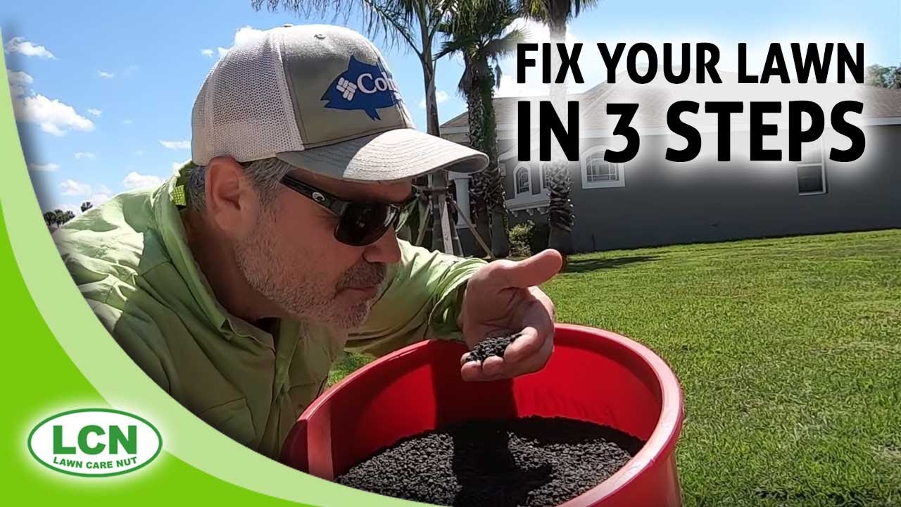 Fix Your Lawn In 3 Steps from Allyn Hane, The Lawn Care Nut