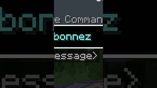 Comment rendre une map Minecraft inutilisable ?