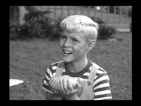 Dennis The Menace - S02E07 - The Rock Collection