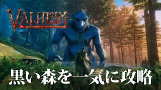 【Valheim】青銅装備を作って長老を目指せ！