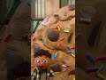GIANT Cookie For Elmo Sesamestreet